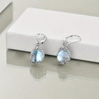 Freigeist Moonstone Earrings-Westeryn