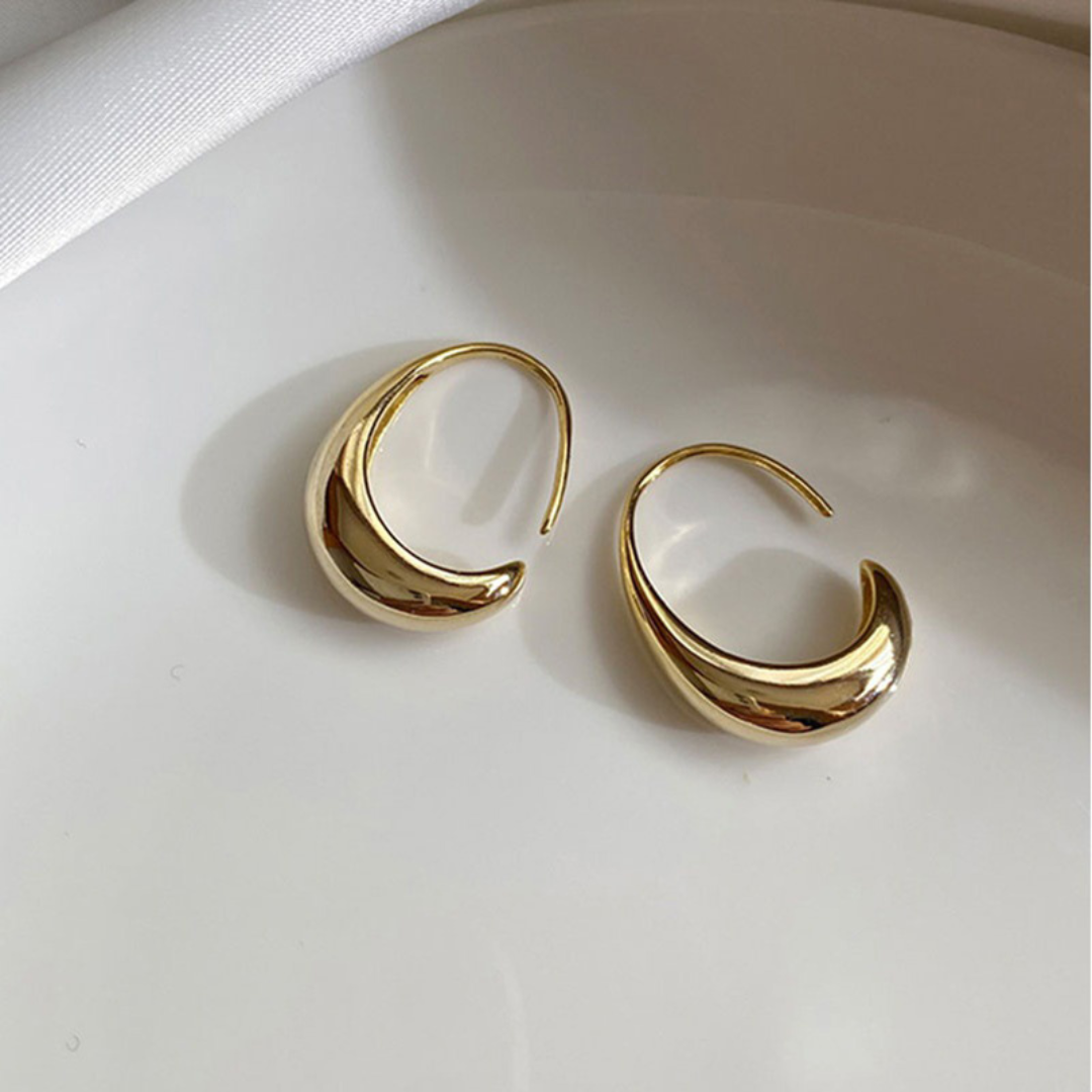 Shiny Modernist Earrings in Silver