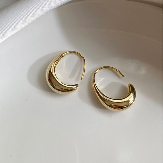 Shiny Modernist Earrings in Silver