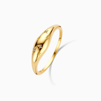 Diamond Dome Ring | Gold-Westeryn
