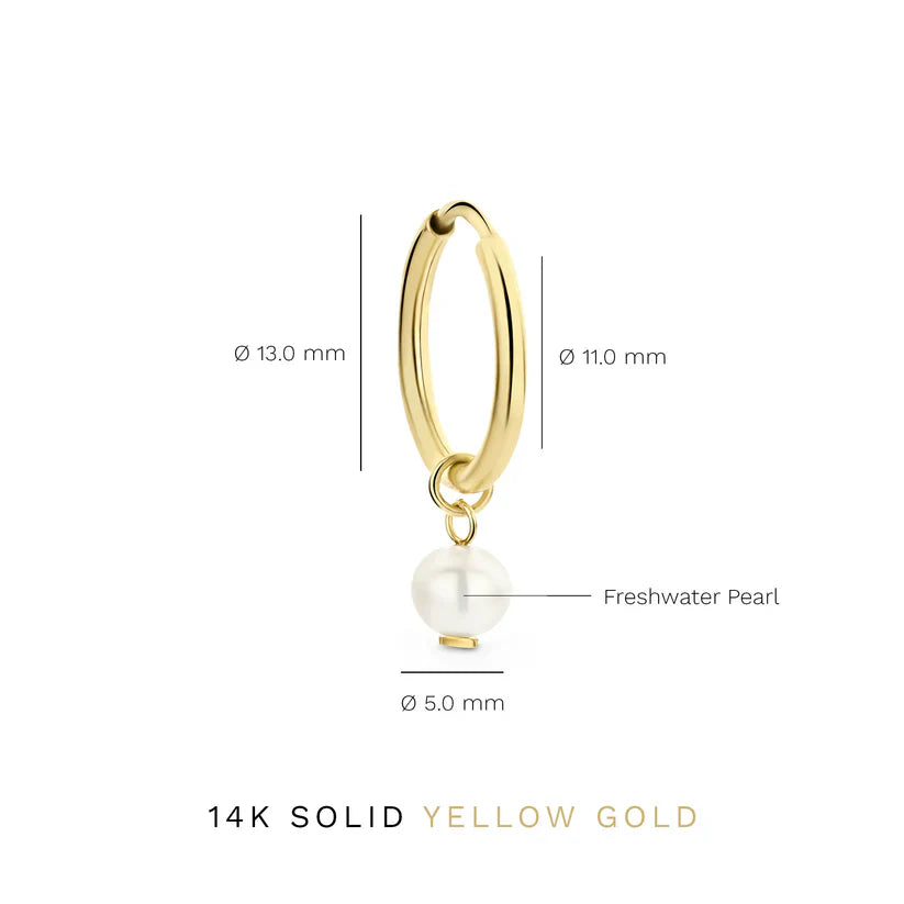 Delia Crest Earrings | Gold-Westeryn