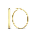 Noa Serane Earrings | Gold-Westeryn