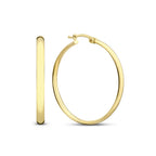 Noa Serane Earrings | Gold-Westeryn