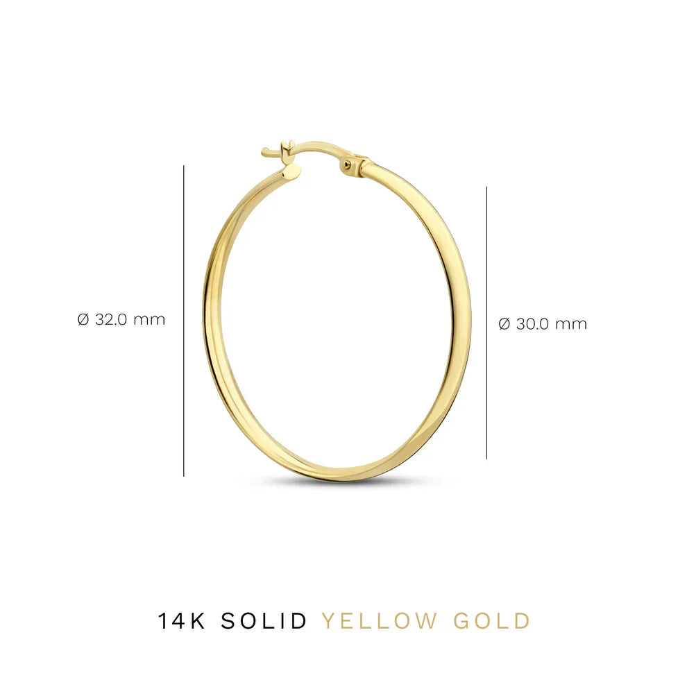 Noa Serane Earrings | Gold-Westeryn