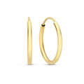 Noémie Sorel Earrings | Gold-Westeryn