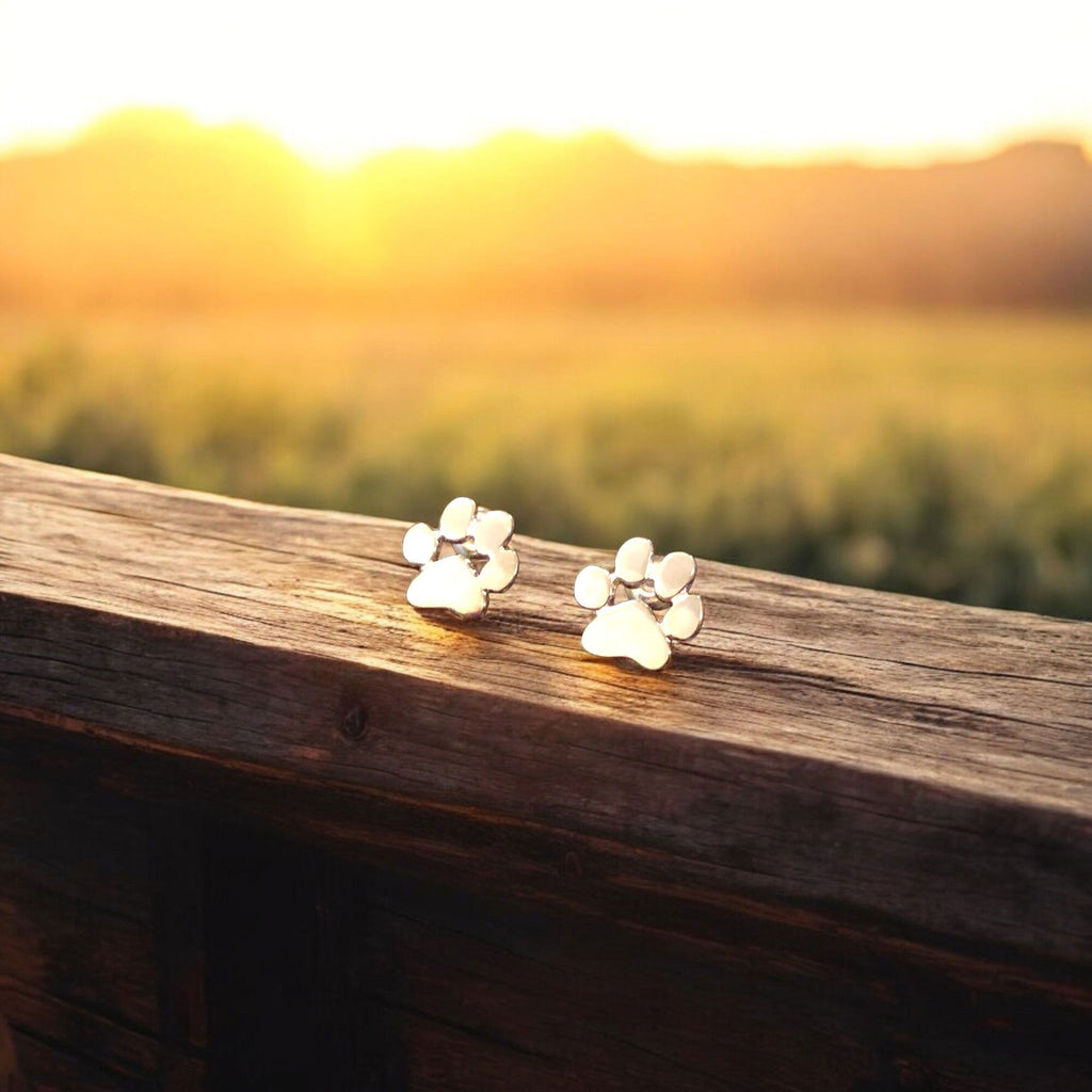 LINAI – Elegant Hypoallergenic Paw Earrings Made of Stainless Steel for Any Occasion-Westeryn