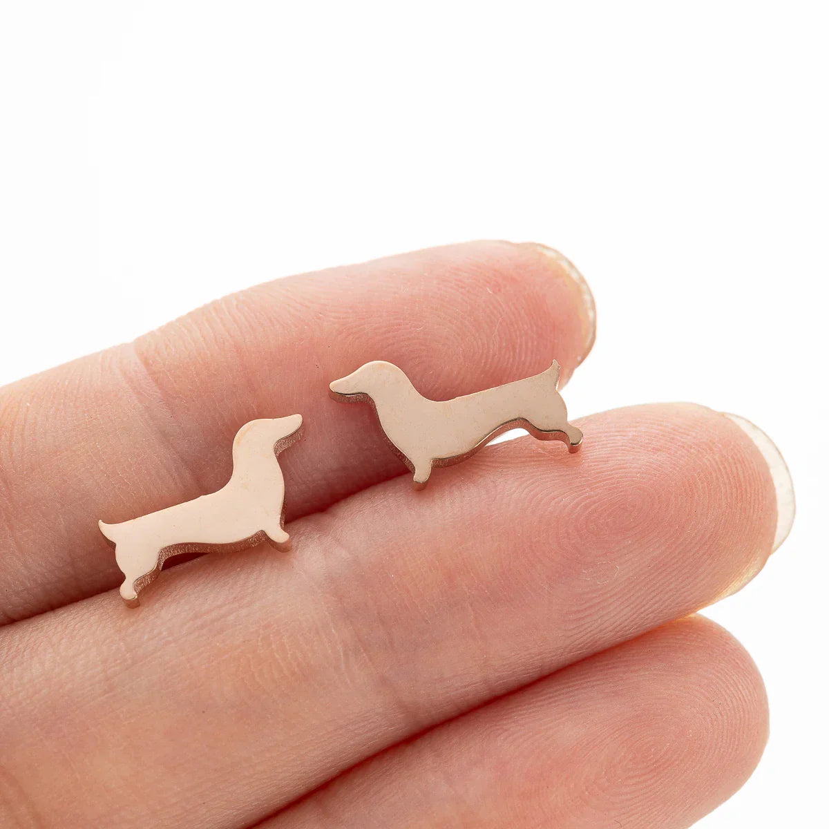 Charming Dachshund Studs-Westeryn