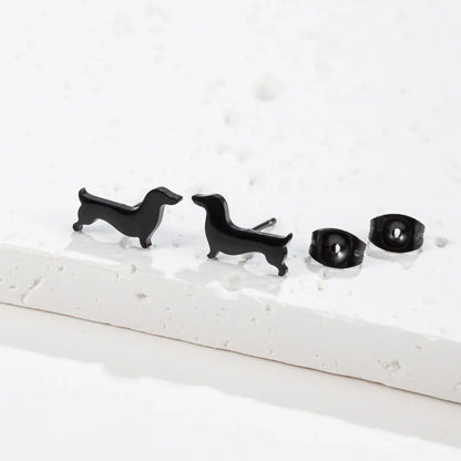 Charming Dachshund Studs