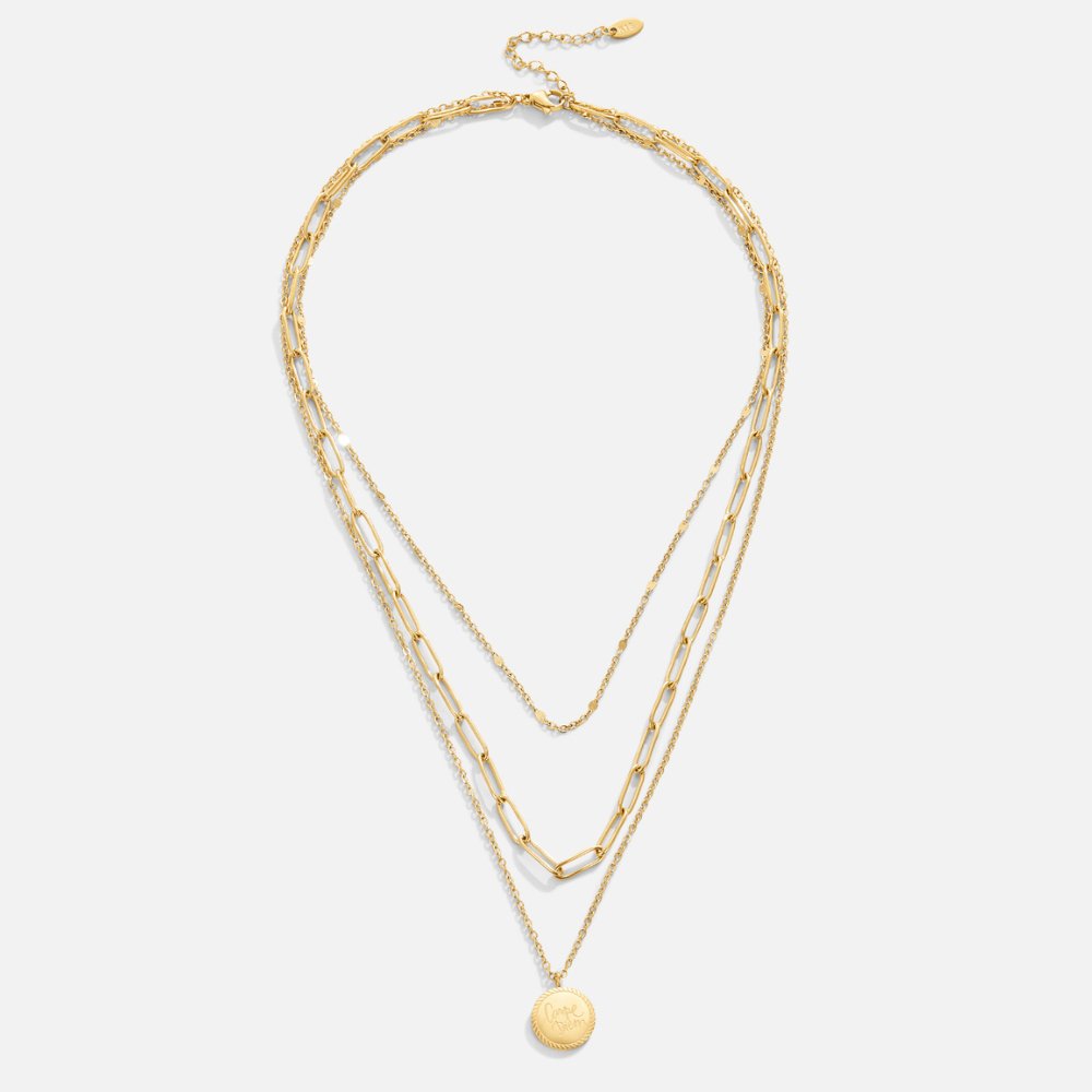 Janie Coin Layered Necklace-Westeryn