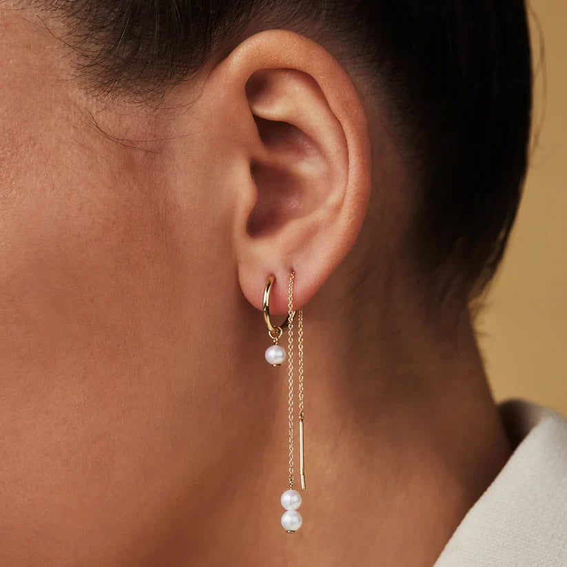 Delia Crest Earrings | Gold-Westeryn