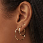 Noémie Sorel Earrings | Gold-Westeryn