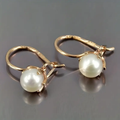 Elegant Gold Pearl Earrings-Westeryn