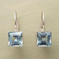 Timeless Blue Harvest Earrings-Westeryn