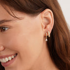 Premium Crystal Gold Earrings-Westeryn